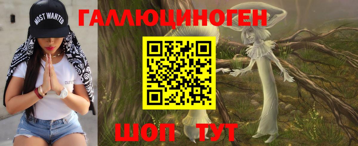 Галлюциногенные грибы Psilocybe Коломна